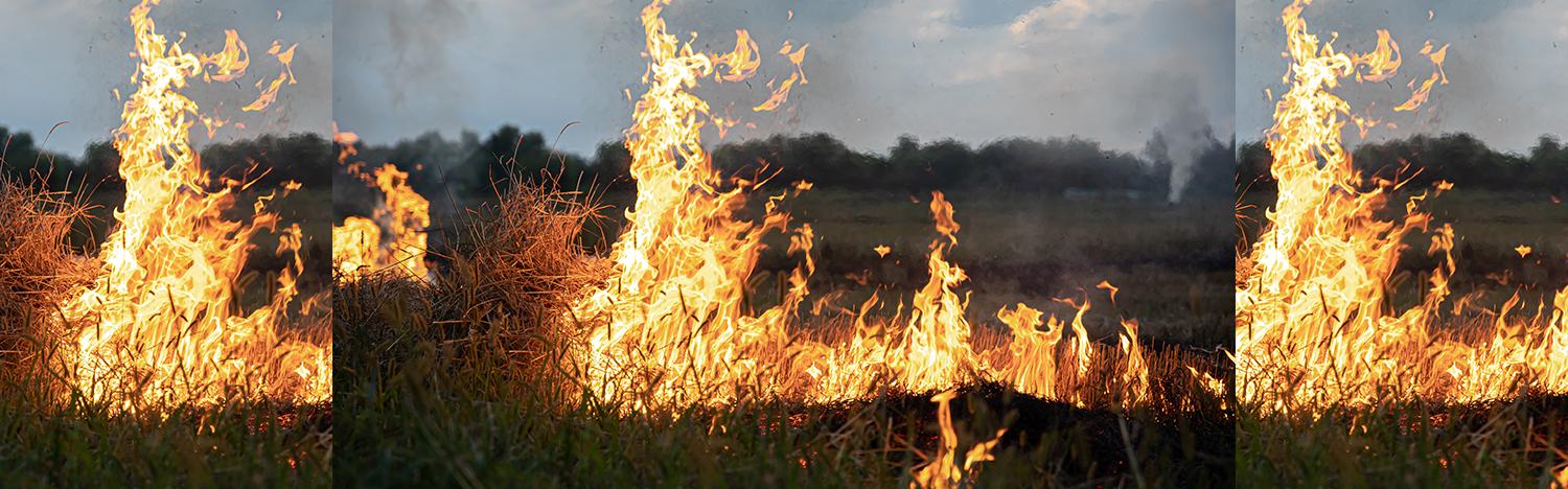 PG&E Agrees To Pay $125M In California Fire