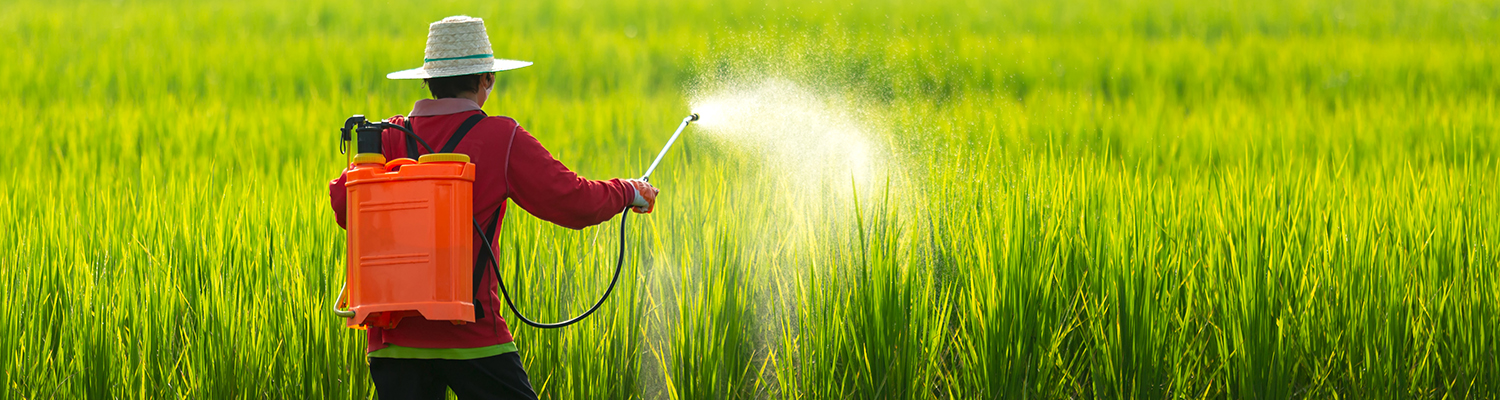 Monsanto's Ex CEO To Testify In Roundup Trial