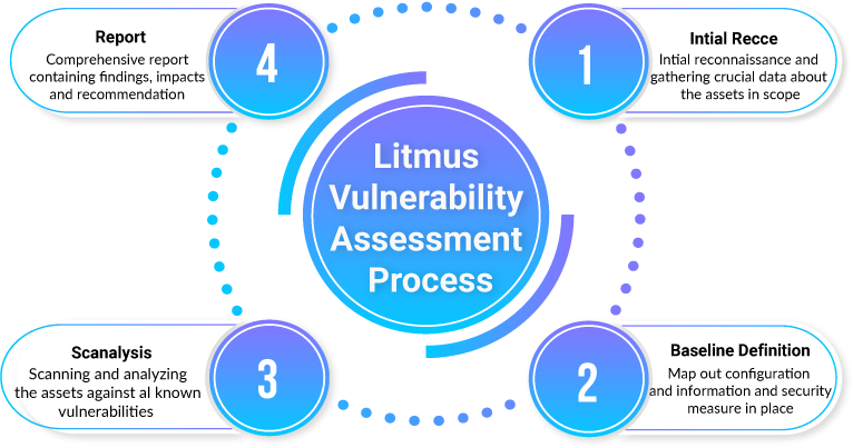 Litmus Vulnerability Assessment Process