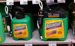 Cancer Victim Gains $289 Million in Roundup Litigation