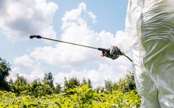 Bayer Announces Five-point Plan to Resolve Roundup Claims