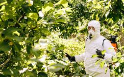 Migrant Workers Excluded From Roundup's $2B Deal