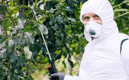 Bayer Ready To Intervene In Roundup Lawsuit