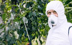 Study Links Glyphosate To Endocrine Disrupting Chemicals